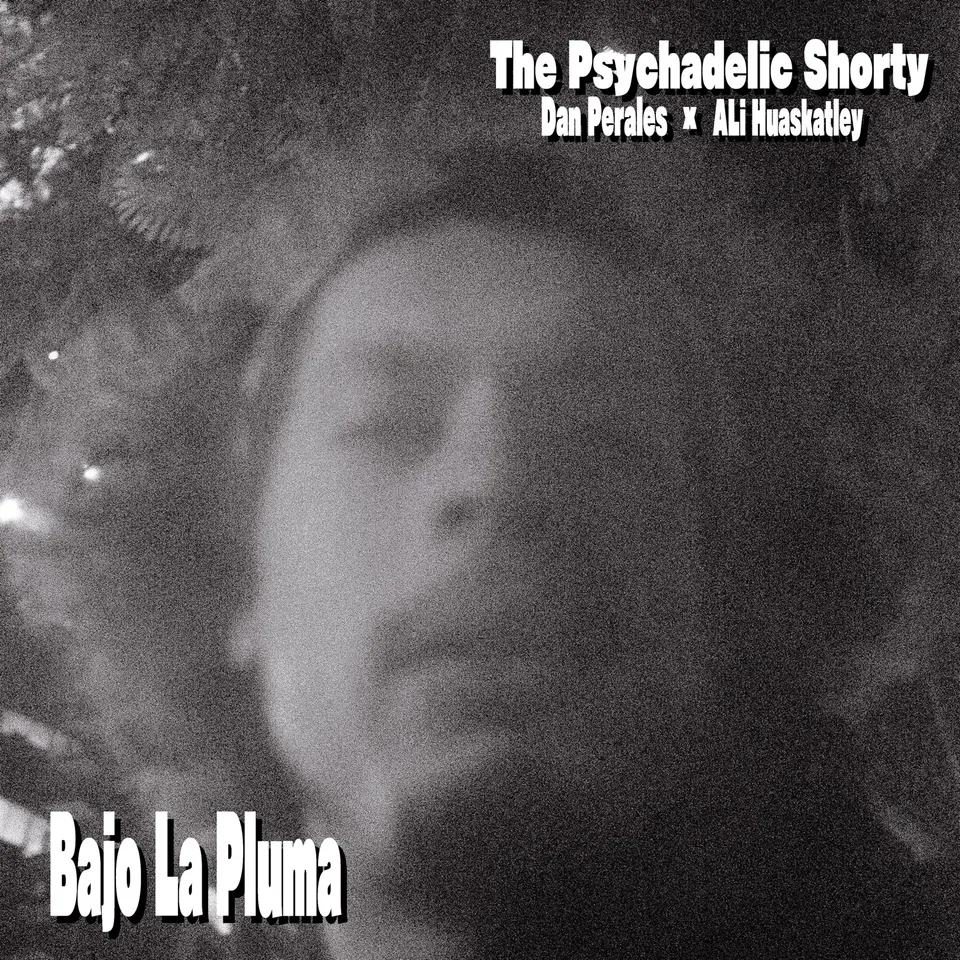 Cover art for Bajo La Pluma by Dan Perales and ALi Huaskatley